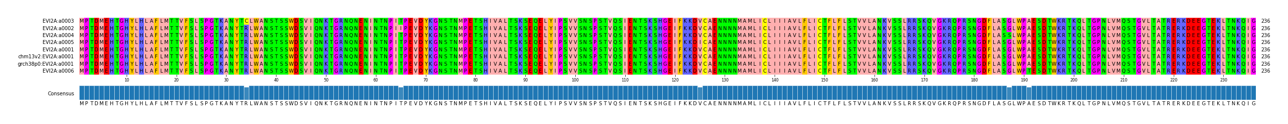 Multiple Alignments (by translate haplotype similarity)