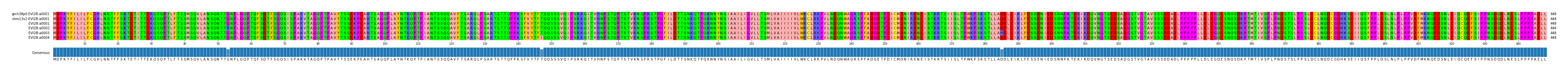 Multiple Alignments (by translate haplotype frequency)