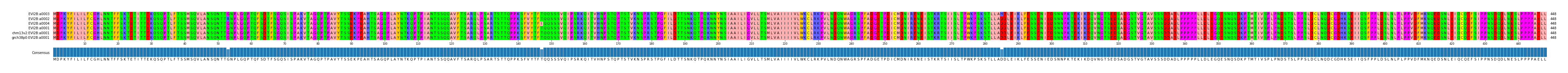 Multiple Alignments (by translate haplotype similarity)