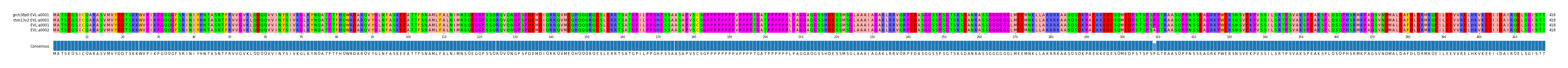 Multiple Alignments (by translate haplotype similarity)