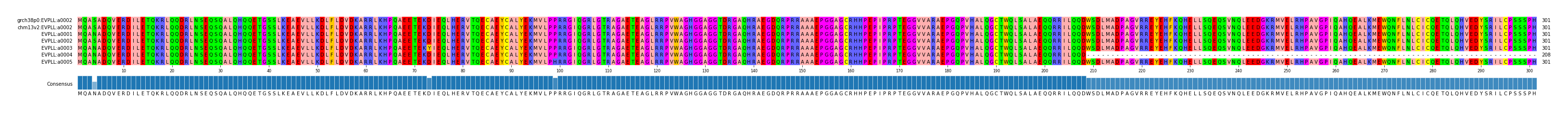 Multiple Alignments (by translate haplotype frequency)