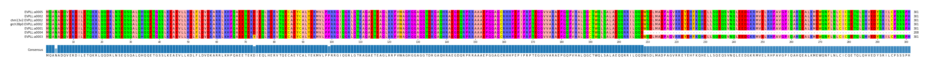 Multiple Alignments (by translate haplotype similarity)