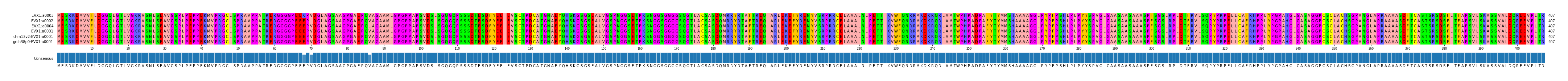 Multiple Alignments (by translate haplotype similarity)
