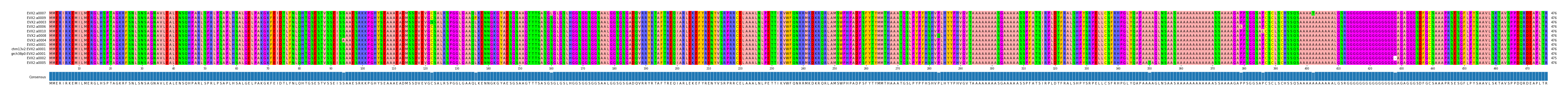 Multiple Alignments (by translate haplotype similarity)