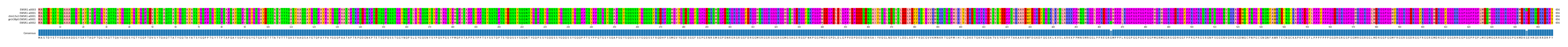 Multiple Alignments (by translate haplotype similarity)
