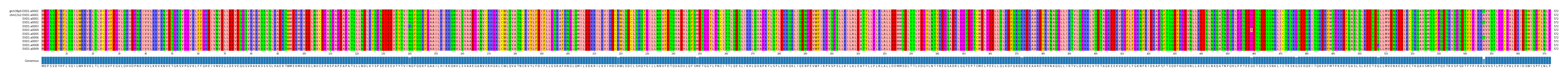 Multiple Alignments (by translate haplotype frequency)