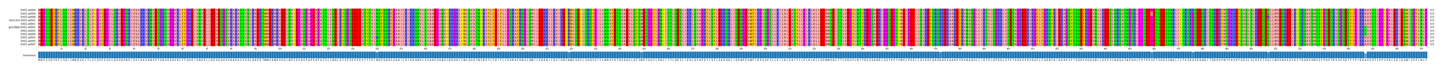 Multiple Alignments (by translate haplotype similarity)