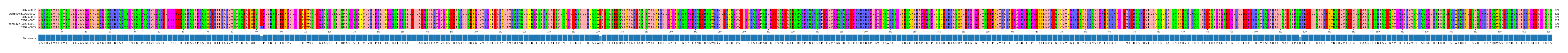 Multiple Alignments (by translate haplotype similarity)