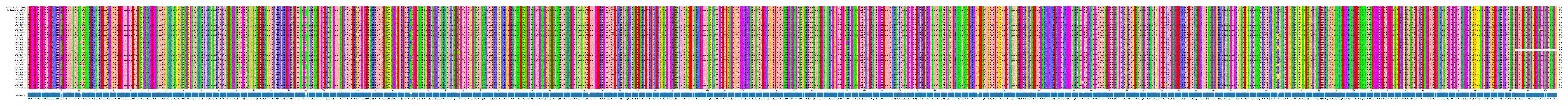 Multiple Alignments (by translate haplotype frequency)