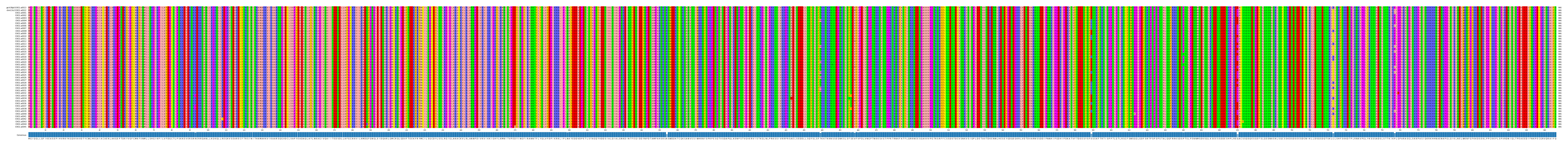 Multiple Alignments (by translate haplotype frequency)
