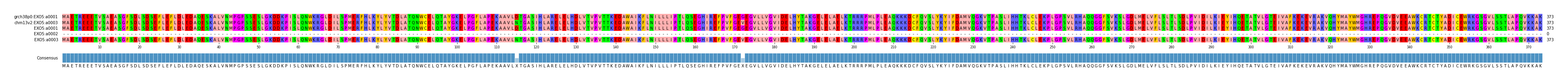 Multiple Alignments (by translate haplotype frequency)
