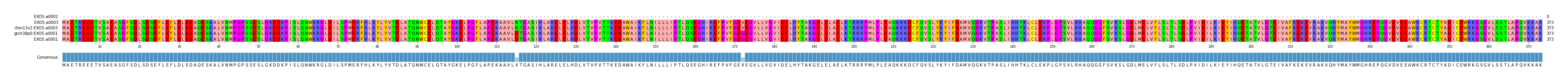 Multiple Alignments (by translate haplotype similarity)