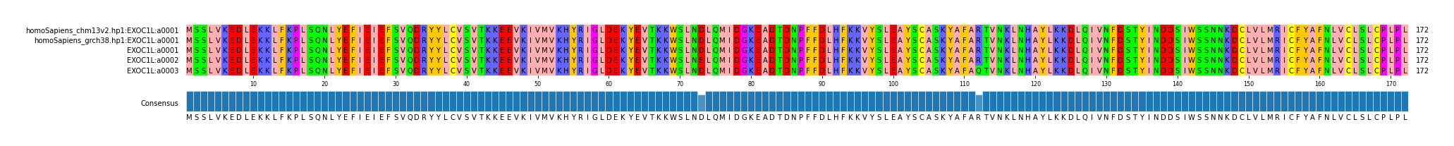 Multiple Alignments (by translate haplotype frequency)