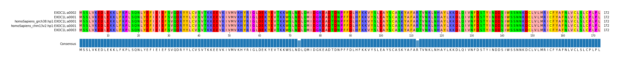 Multiple Alignments (by translate haplotype similarity)