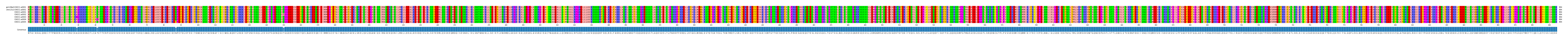 Multiple Alignments (by translate haplotype frequency)