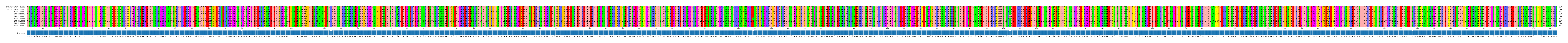 Multiple Alignments (by translate haplotype frequency)