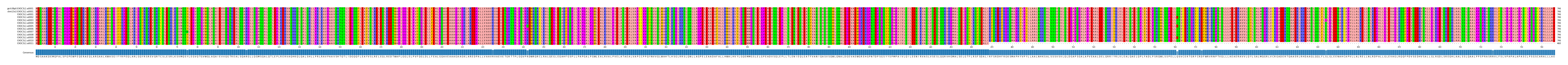 Multiple Alignments (by translate haplotype frequency)