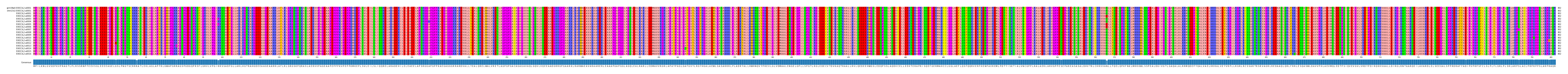Multiple Alignments (by translate haplotype frequency)