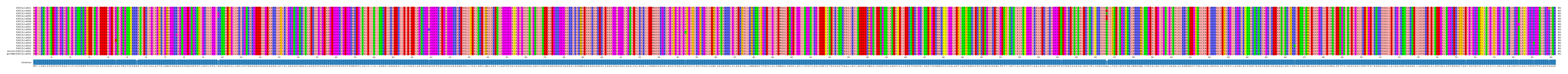 Multiple Alignments (by translate haplotype similarity)