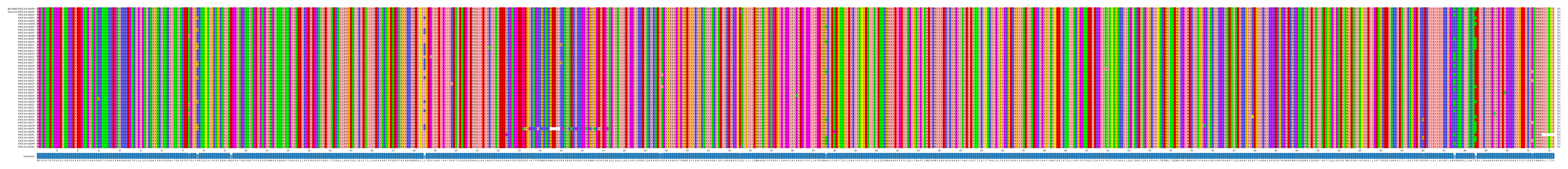 Multiple Alignments (by translate haplotype frequency)