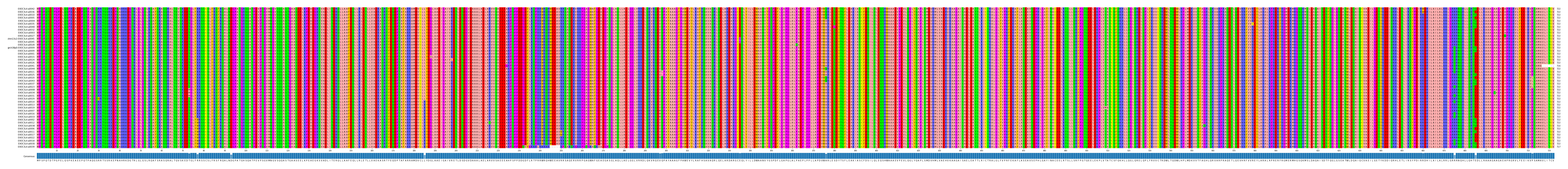 Multiple Alignments (by translate haplotype similarity)