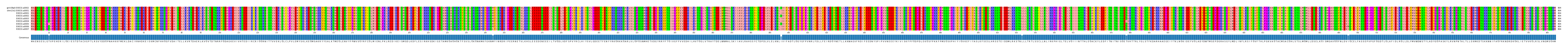 Multiple Alignments (by translate haplotype frequency)