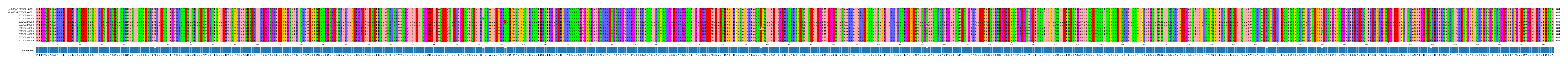 Multiple Alignments (by translate haplotype frequency)