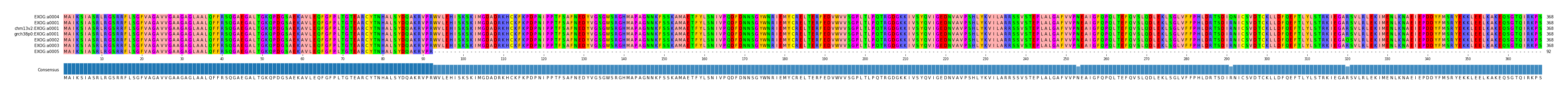 Multiple Alignments (by translate haplotype similarity)