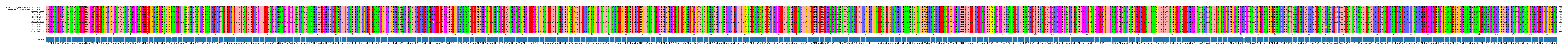Multiple Alignments (by translate haplotype frequency)