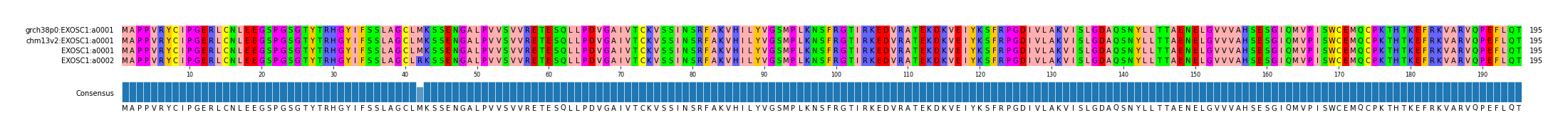 Multiple Alignments (by translate haplotype similarity)