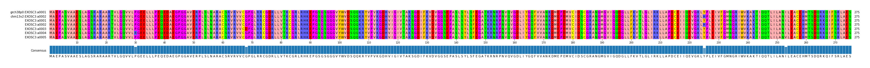 Multiple Alignments (by translate haplotype frequency)