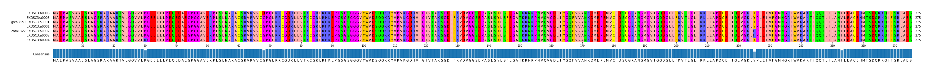 Multiple Alignments (by translate haplotype similarity)