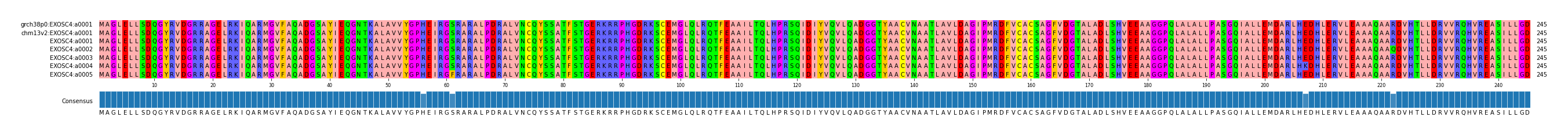 Multiple Alignments (by translate haplotype frequency)