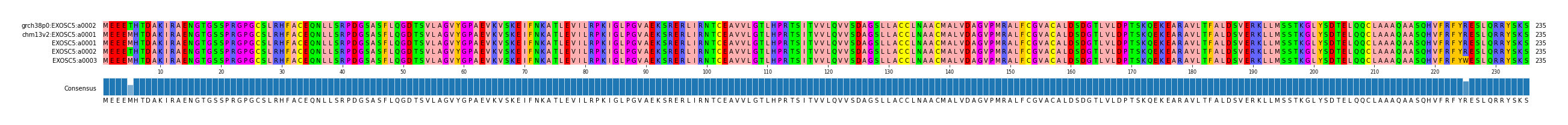 Multiple Alignments (by translate haplotype frequency)