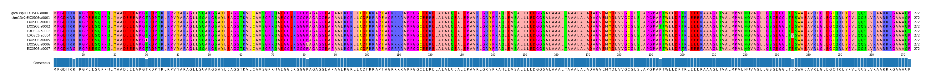 Multiple Alignments (by translate haplotype frequency)