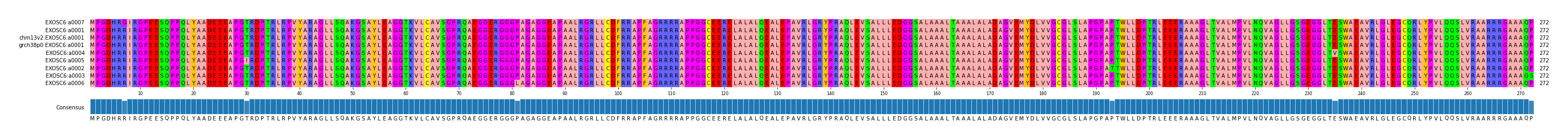 Multiple Alignments (by translate haplotype similarity)