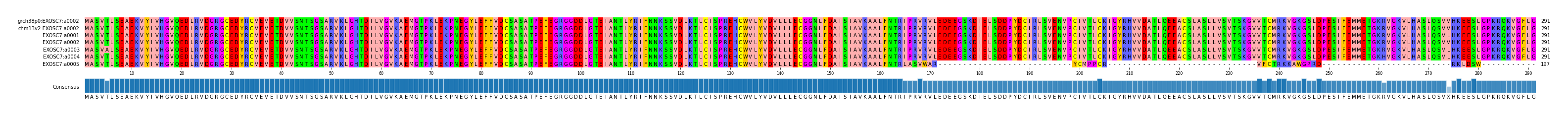 Multiple Alignments (by translate haplotype frequency)