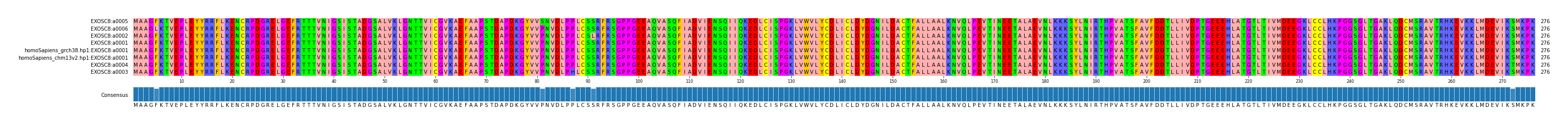 Multiple Alignments (by translate haplotype similarity)