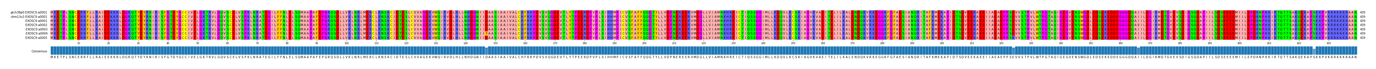Multiple Alignments (by translate haplotype frequency)