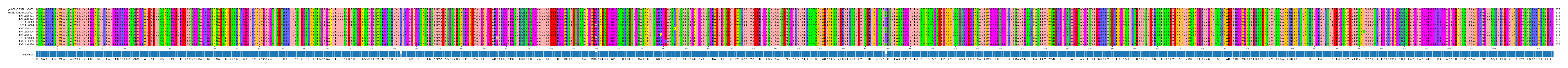 Multiple Alignments (by translate haplotype frequency)