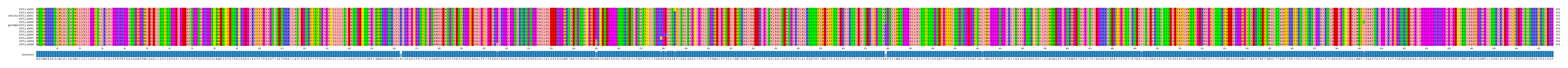 Multiple Alignments (by translate haplotype similarity)