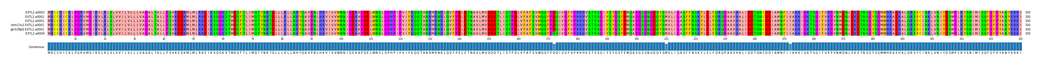 Multiple Alignments (by translate haplotype similarity)
