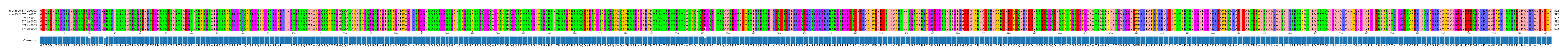 Multiple Alignments (by translate haplotype frequency)