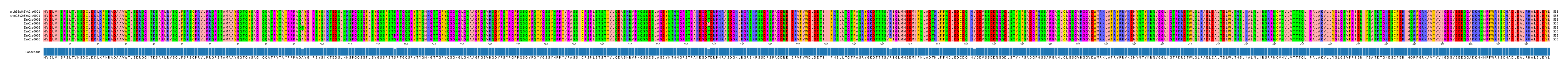 Multiple Alignments (by translate haplotype frequency)