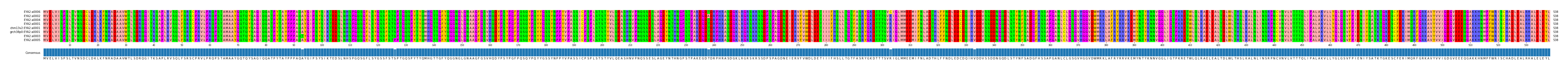 Multiple Alignments (by translate haplotype similarity)