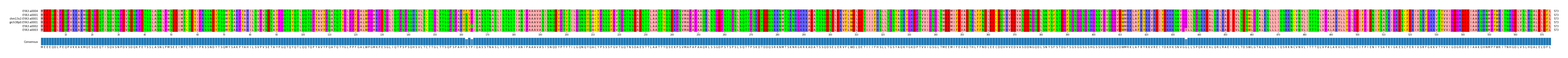 Multiple Alignments (by translate haplotype similarity)