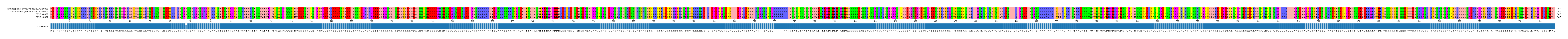 Multiple Alignments (by translate haplotype similarity)
