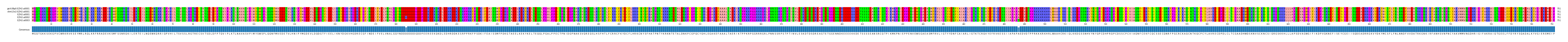 Multiple Alignments (by translate haplotype frequency)