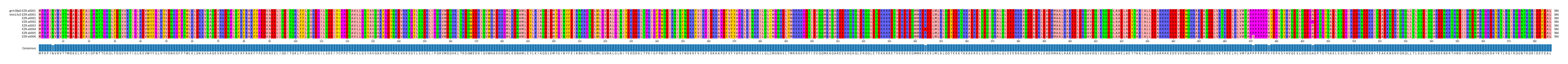 Multiple Alignments (by translate haplotype frequency)