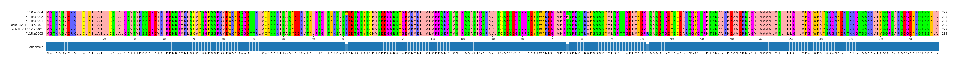 Multiple Alignments (by translate haplotype similarity)